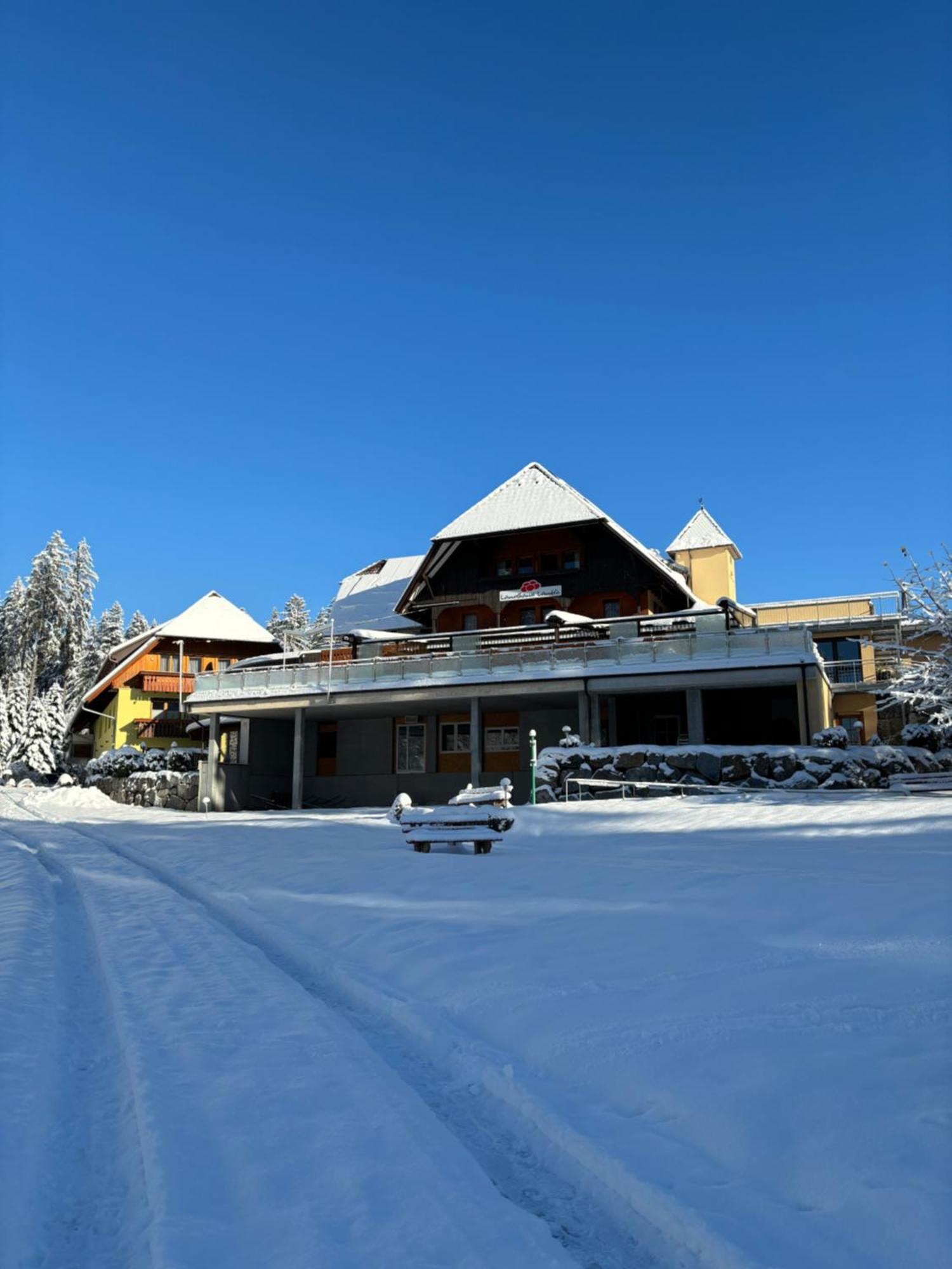 Landhaus Lauble Hornberg Εξωτερικό φωτογραφία
